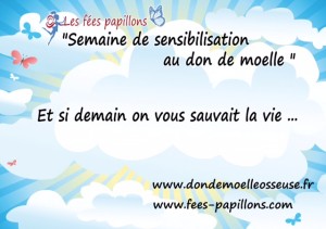 don-moelle2